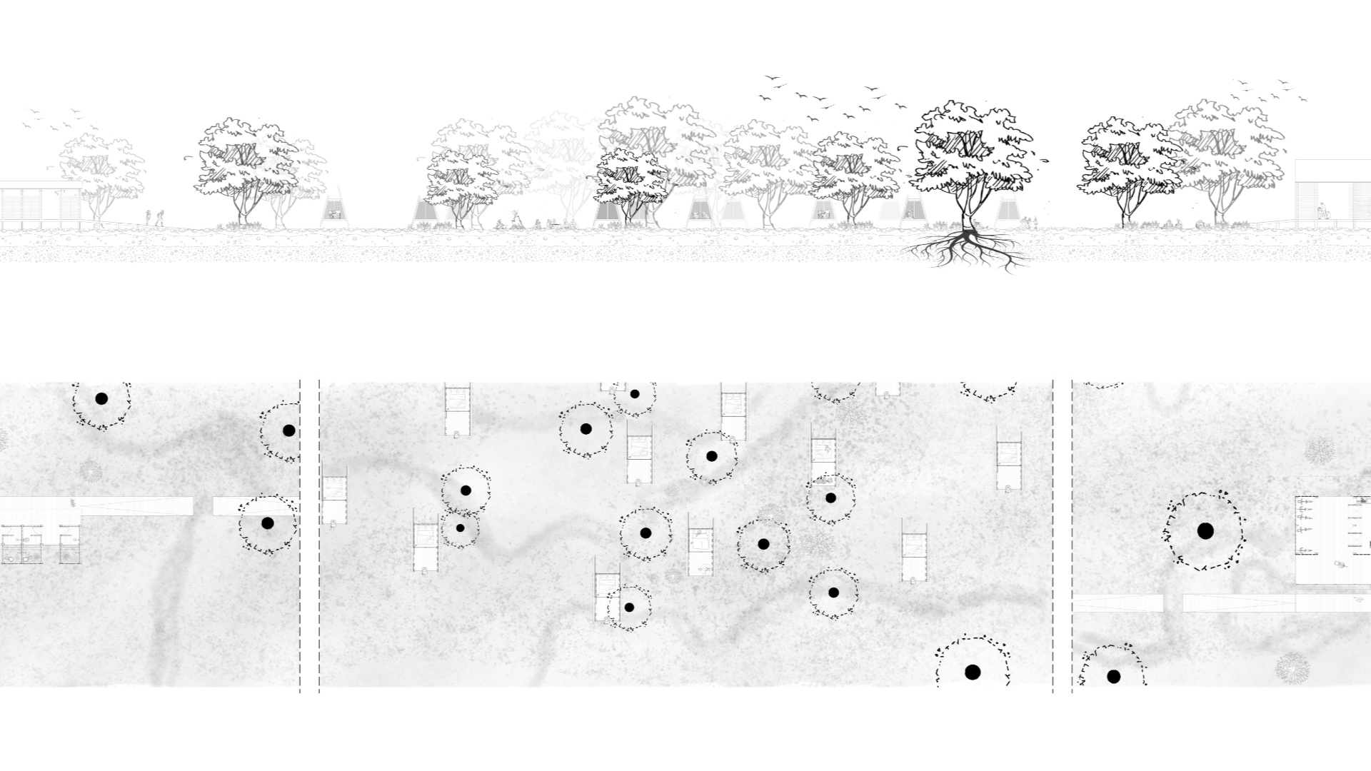plans et coupes projet